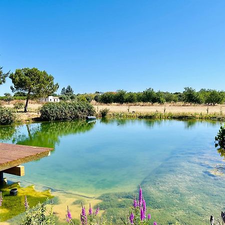 Glamping On Organic Yoga Farm With Natural Swimming Pool Near Beach มอนคาราปาโช ภายนอก รูปภาพ