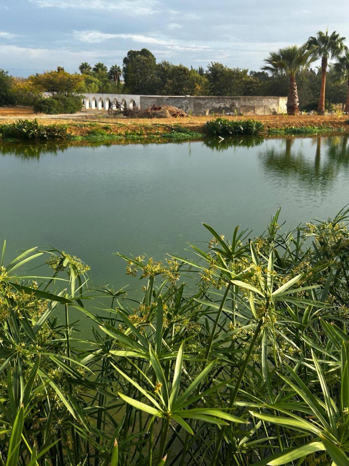 Glamping On Organic Yoga Farm With Natural Swimming Pool Near Beach มอนคาราปาโช ภายนอก รูปภาพ