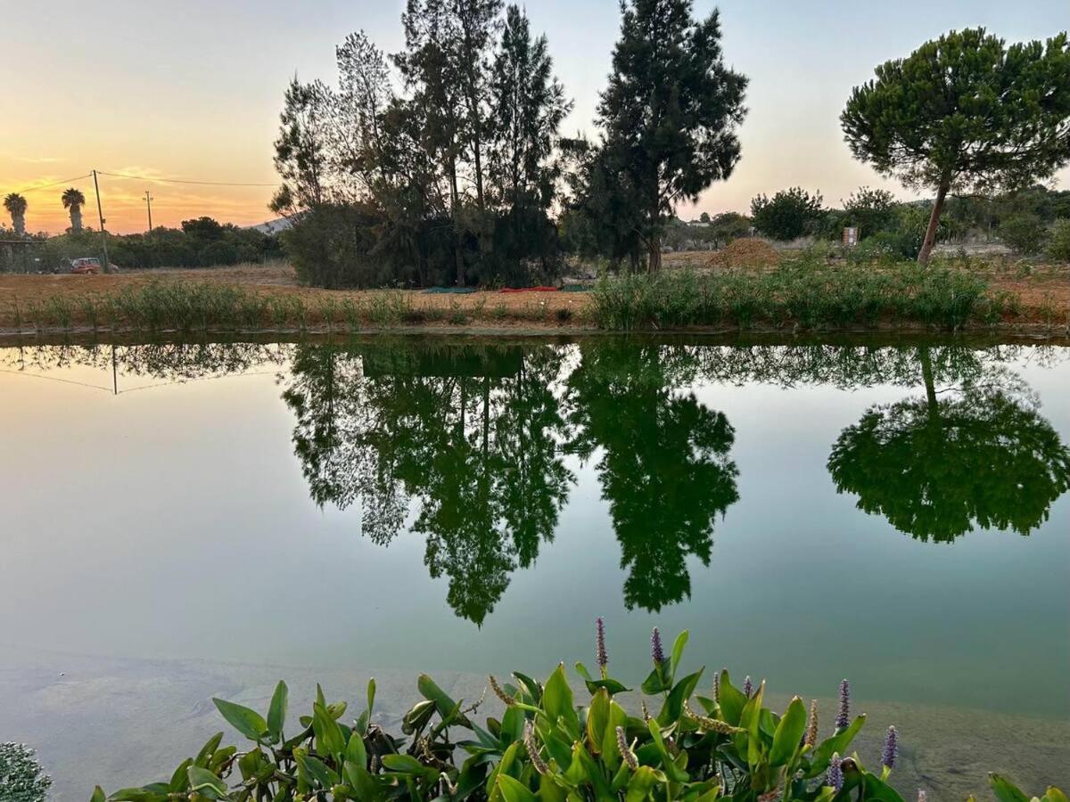 Glamping On Organic Yoga Farm With Natural Swimming Pool Near Beach มอนคาราปาโช ภายนอก รูปภาพ