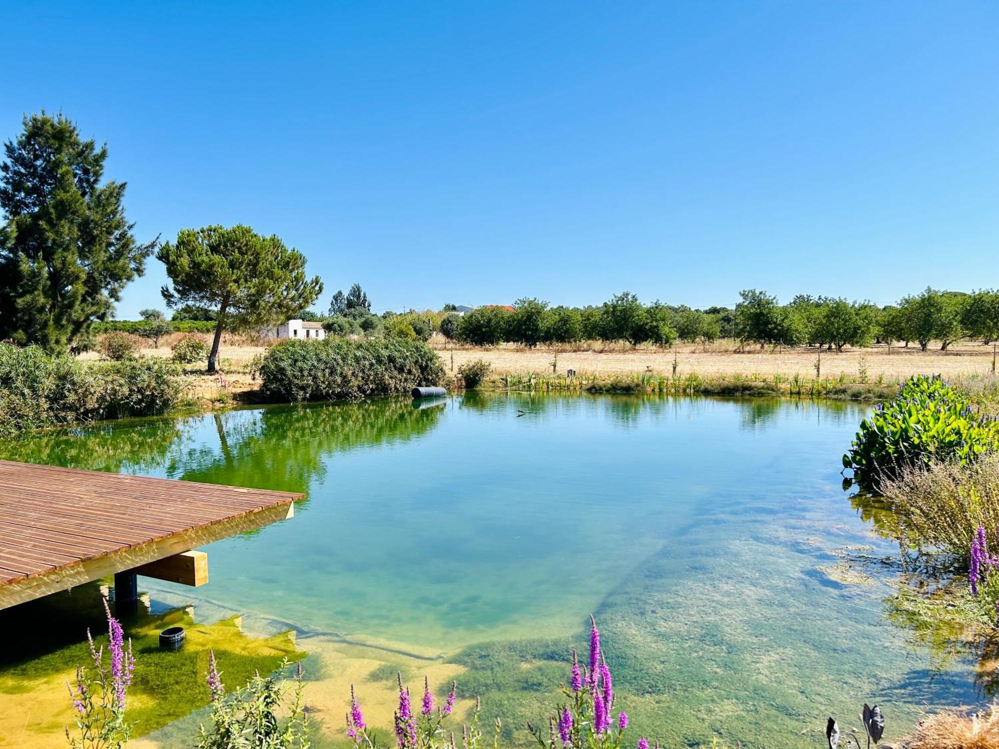 Glamping On Organic Yoga Farm With Natural Swimming Pool Near Beach มอนคาราปาโช ภายนอก รูปภาพ